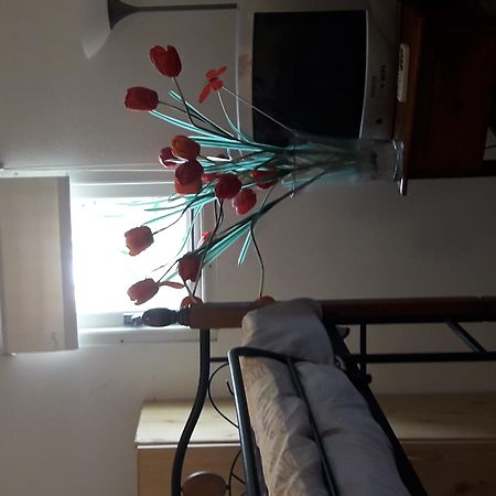 אורנג'סטאד Palmita Hotel Hostel מראה חיצוני תמונה