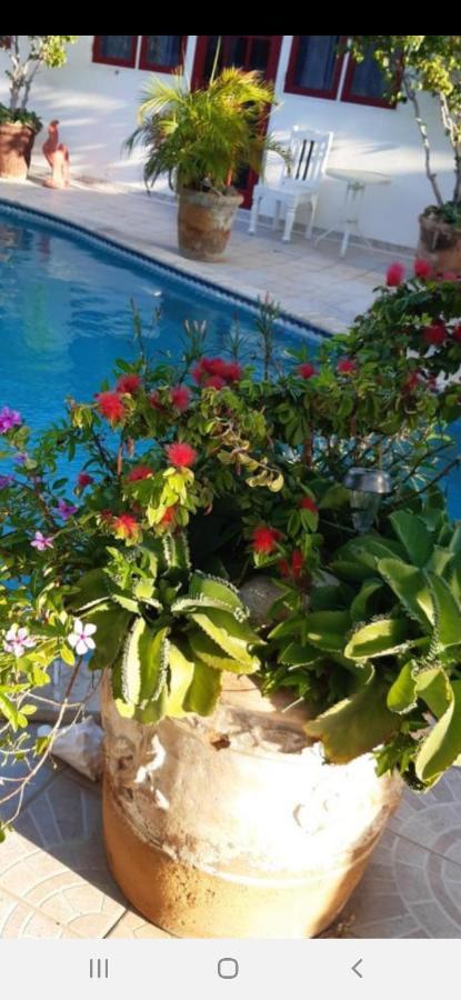 אורנג'סטאד Palmita Hotel Hostel מראה חיצוני תמונה