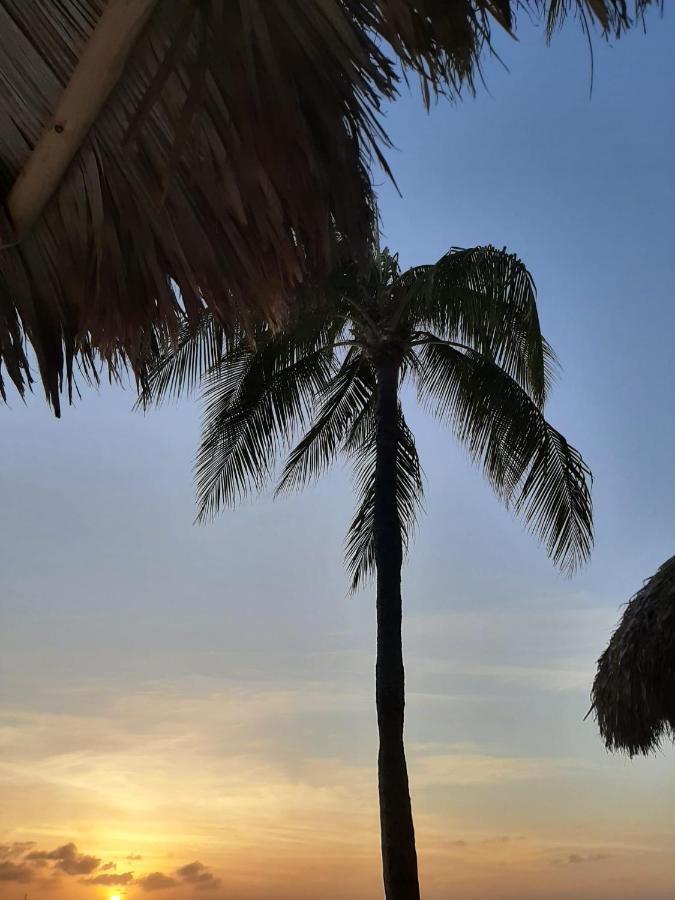 אורנג'סטאד Palmita Hotel Hostel מראה חיצוני תמונה