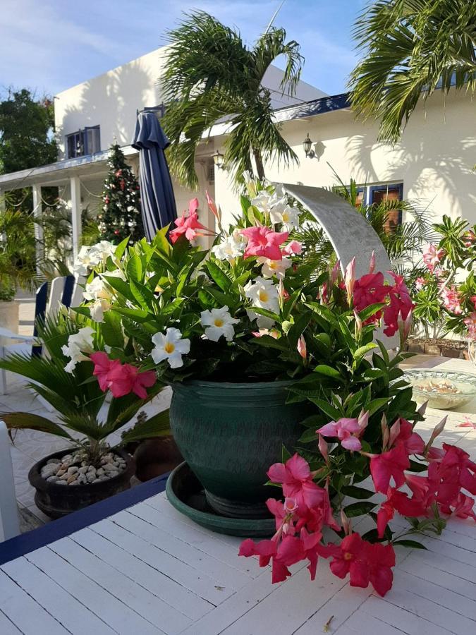 אורנג'סטאד Palmita Hotel Hostel מראה חיצוני תמונה