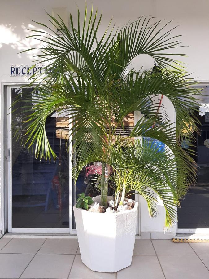 אורנג'סטאד Palmita Hotel Hostel מראה חיצוני תמונה