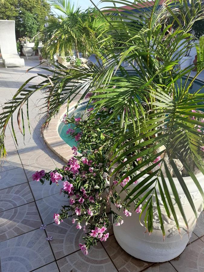 אורנג'סטאד Palmita Hotel Hostel מראה חיצוני תמונה