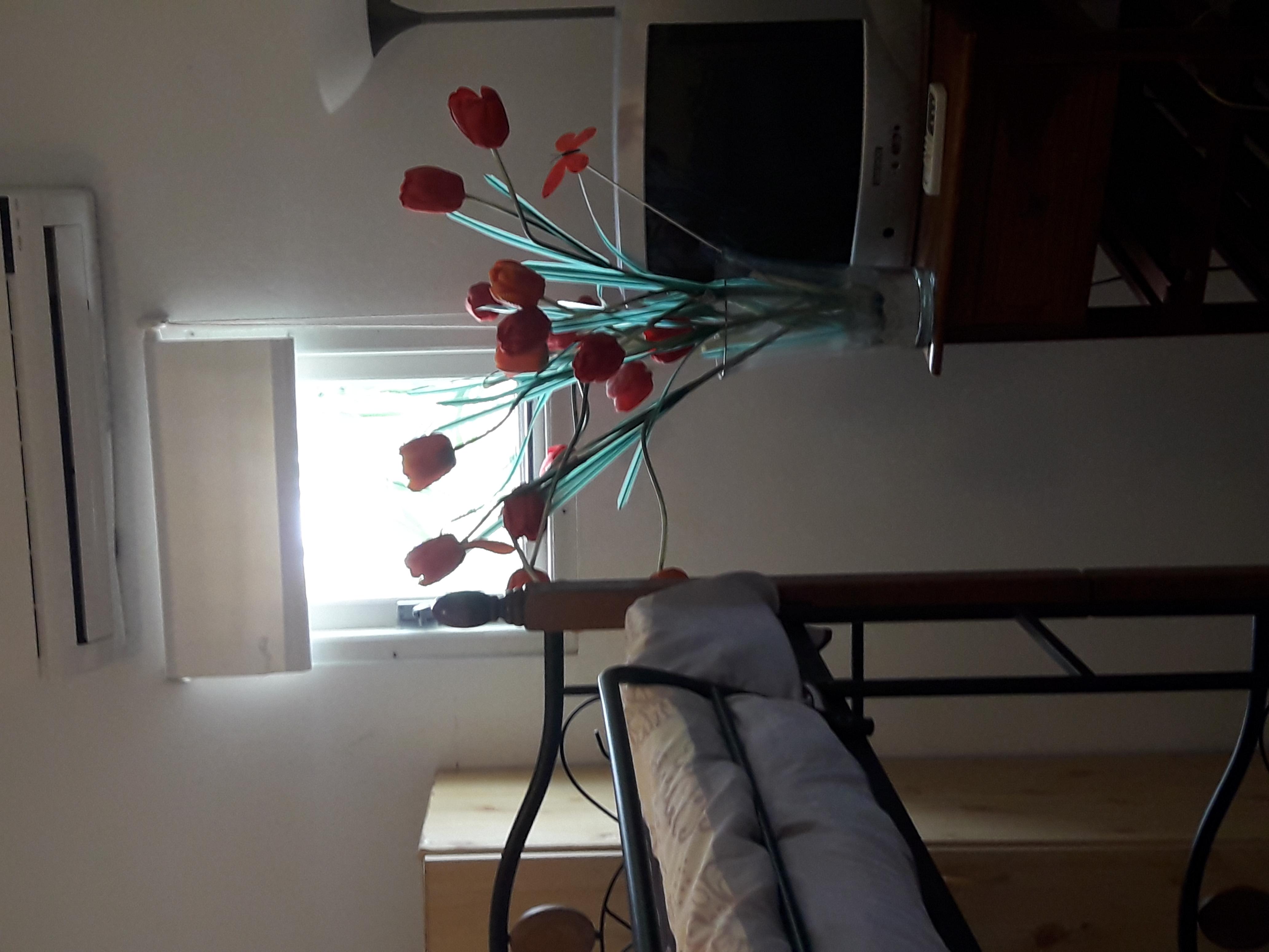 אורנג'סטאד Palmita Hotel Hostel מראה חיצוני תמונה
