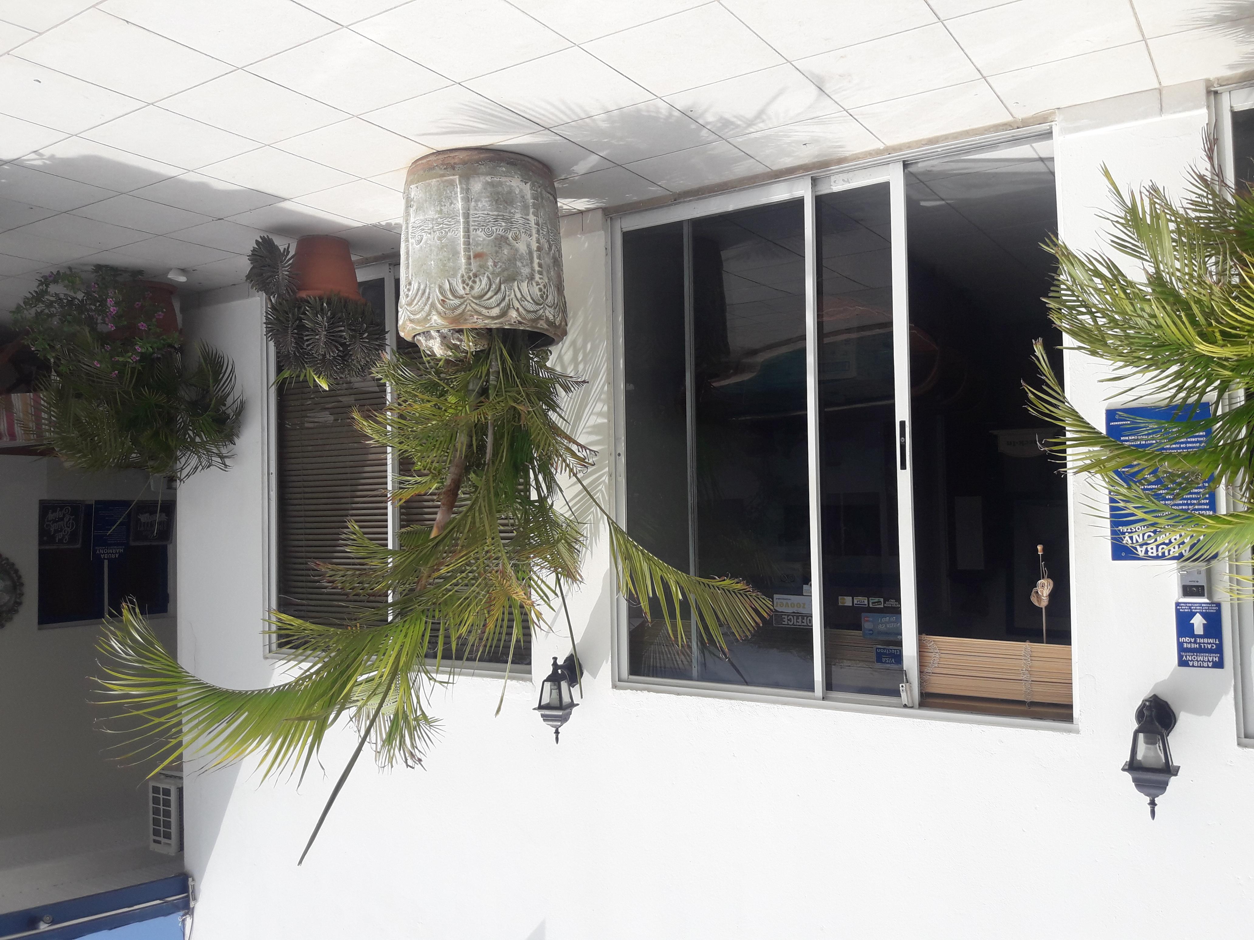 אורנג'סטאד Palmita Hotel Hostel מראה חיצוני תמונה