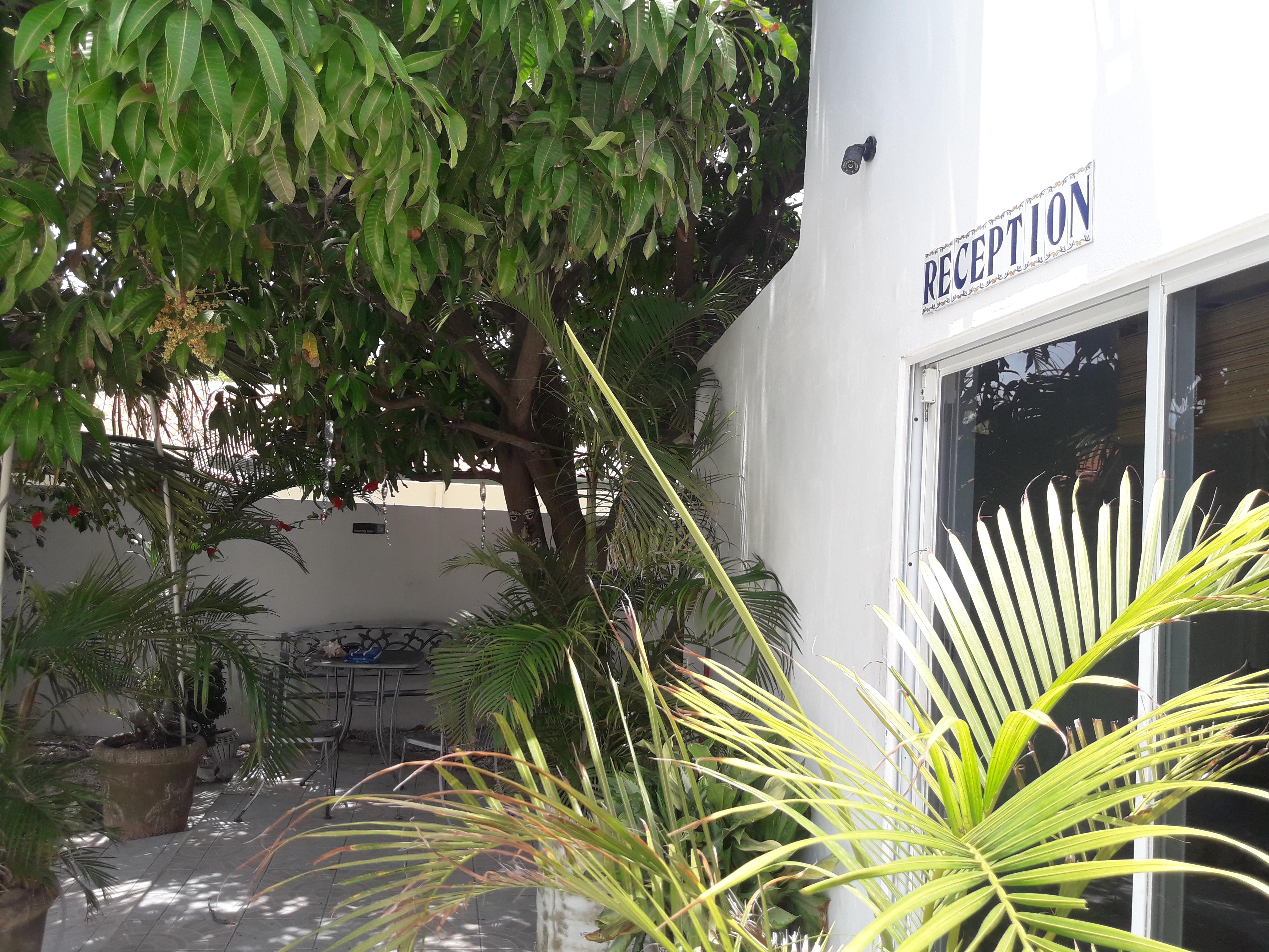 אורנג'סטאד Palmita Hotel Hostel מראה חיצוני תמונה