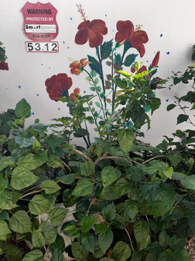 אורנג'סטאד Palmita Hotel Hostel מראה חיצוני תמונה