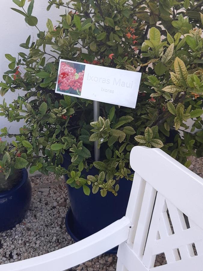 אורנג'סטאד Palmita Hotel Hostel מראה חיצוני תמונה